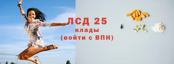 твердый Мегион