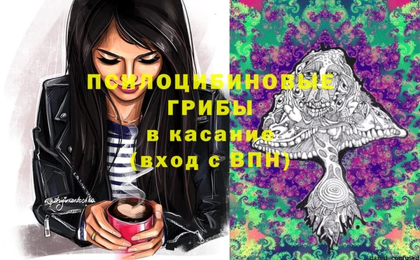 твердый Мегион