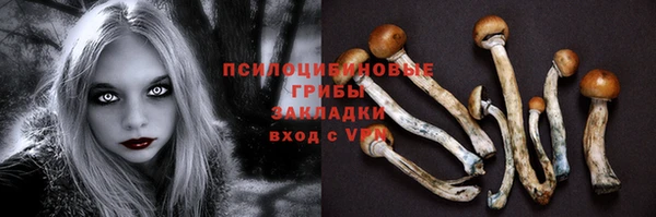 твердый Мегион