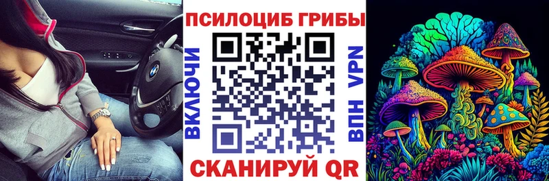 Галлюциногенные грибы прущие грибы Купить где Корсаков